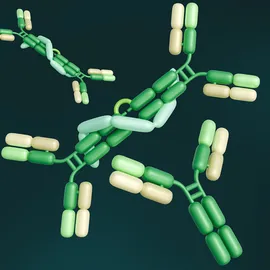 Illustration of bispecific antibodies with multiple Y-shaped antibody molecules, representing the evolution of bispecific antibody engineering.