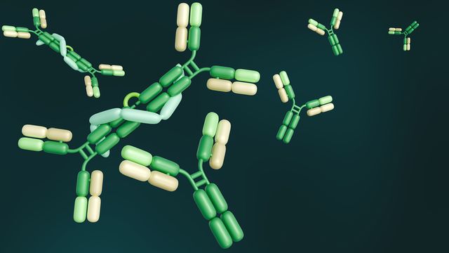 Illustration of bispecific antibodies with multiple Y-shaped antibody molecules, representing the evolution of bispecific antibody engineering. 
