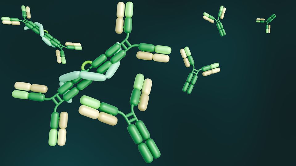 Illustration of bispecific antibodies with multiple Y-shaped antibody molecules, representing the evolution of bispecific antibody engineering.