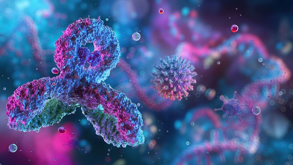 3D illustration of an antibody in pink and blue colors against a hazy pink and blue background.