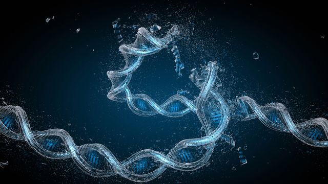 A DNA strand folds and breaks as it is damaged. 