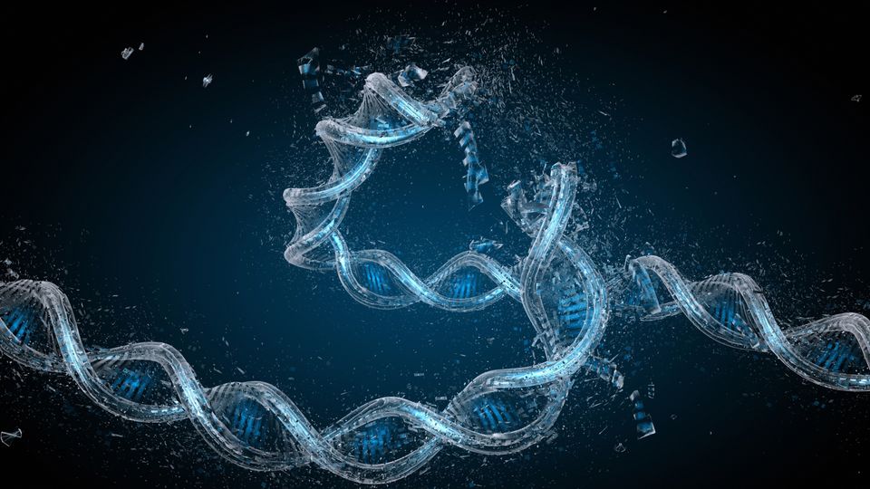 A DNA strand folds and breaks as it is damaged.