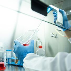 Scientist handling cell culture media in a biosafety cabinet. 