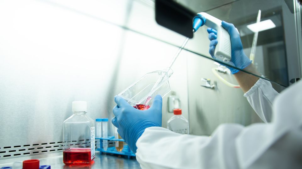 Scientist handling cell culture media in a biosafety cabinet.