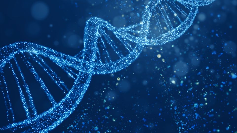 A strand of DNA illustrated in points of light on a dark background.