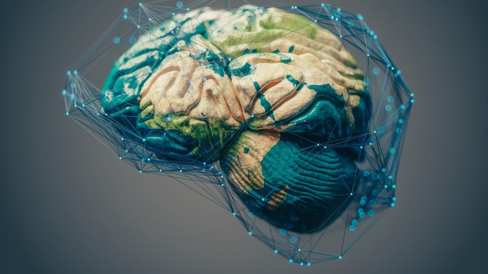 Side-view of a brain in beige, blue, and green colours, surrounded by dots and lines, against a gray background.