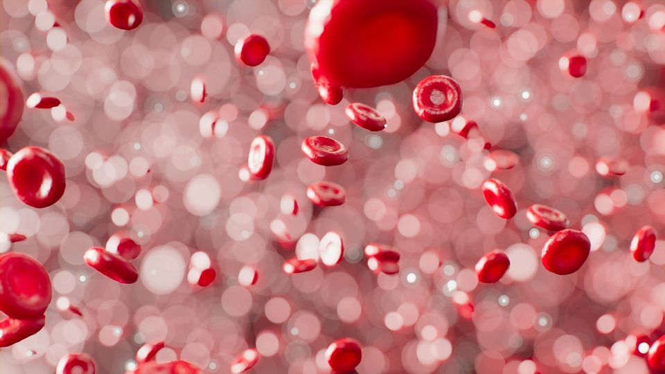 3D illustration of red blood cells flowing through the bloodstream with biconcave disc-shaped erythrocytes.