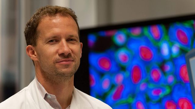Headshot of Prof. Chris Bakal, standing in front of a computer displaying a microscopy image of blue blue cells with red nuclei. 