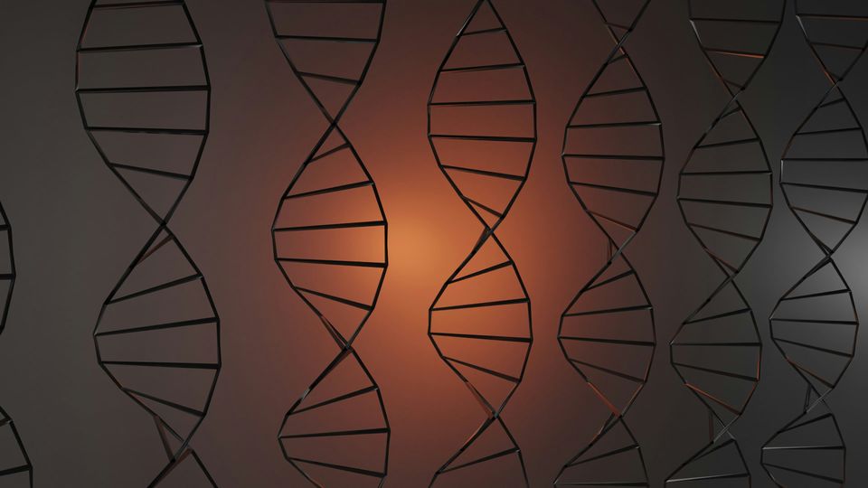 Illustration of multiple abstract DNA ladders running in parallel, against a hazy orange background.