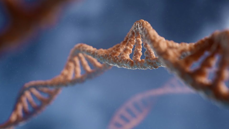 Close-up 3D render of a DNA helix used in genetics and molecular biology research.