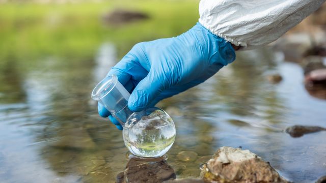 Gloved hand collecting a water sample for testing from a river in a glass round-bottom flask. 