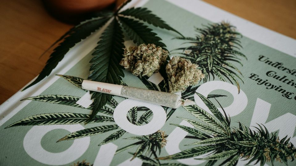 Rolled cannabis cigarette with cannabis flower and leaf.