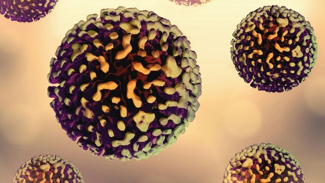 3D illustration of the hepatitis B virus showing spherical viral particles in close-up. 