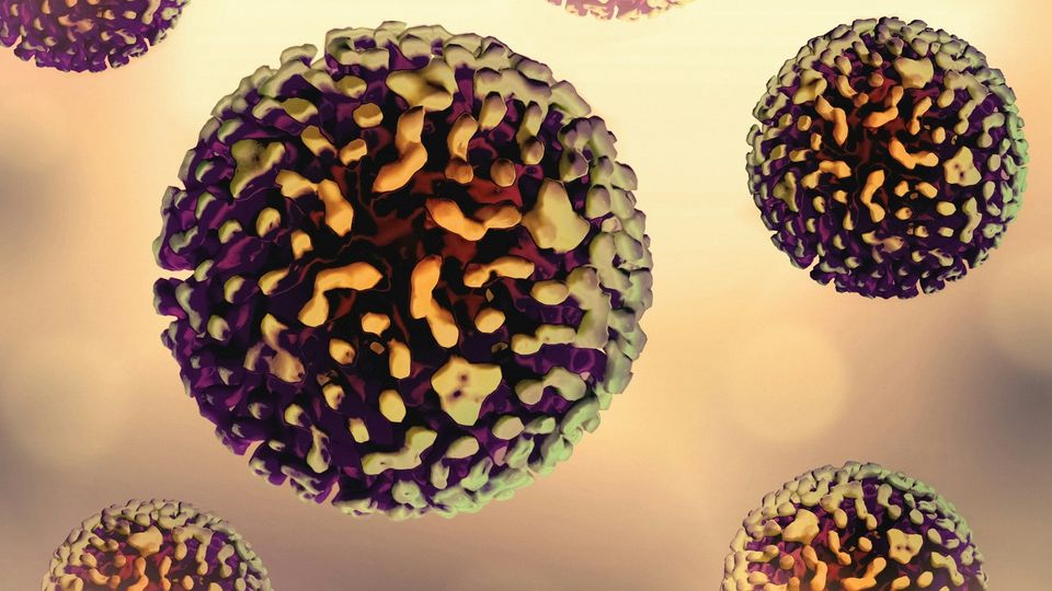 3D illustration of the hepatitis B virus showing spherical viral particles in close-up.