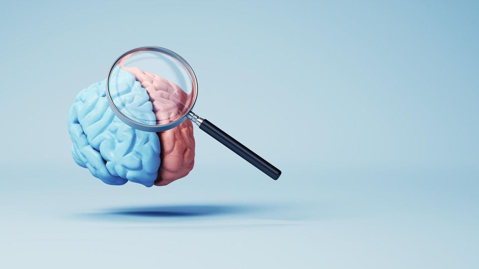 3D render of a blue and pink brain with a magnifying glass highlighting one hemisphere.