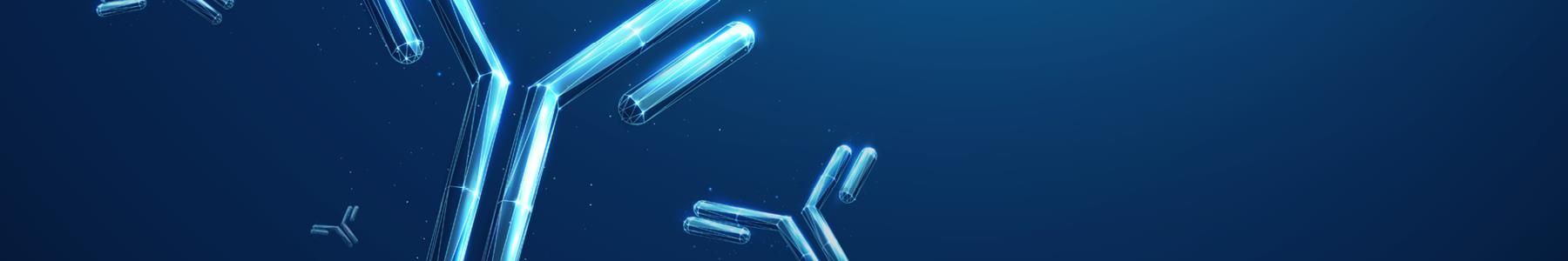 Monoclonal antibody molecules on blue background illustrating antibody research, biotherapeutics and drug discovery 