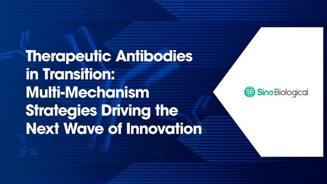 Therapeutic Antibodies in Transition: Multi-Mechanism Strategies Driving the Next Wave of Innovation, with blue antibody illustration and Sino Biological logo 