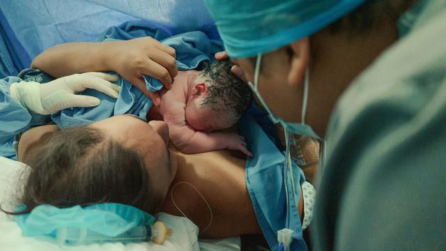 A person who has just given birth holding their newborn baby, covered in blue drapes within a surgical setting. 