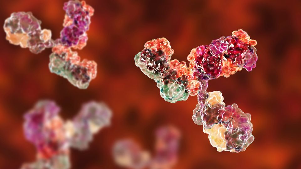 Render of antibodies in red, green, and orange colours against a hazy orange background.