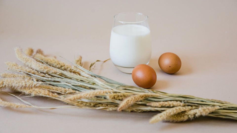 Common allergen foods: a glass of milk with two eggs and dried wheat stalks.