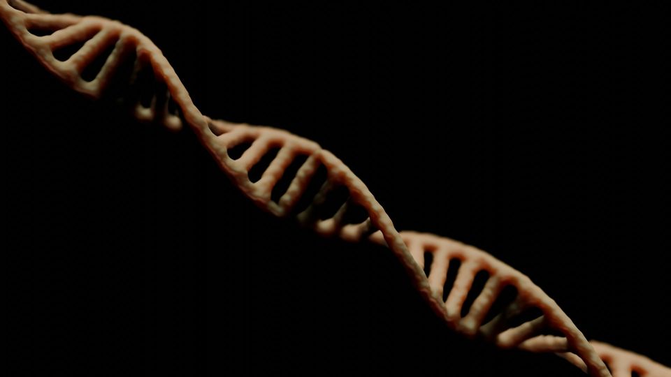 3D illustration of a DNA double helix on a diagonal, against a black background.