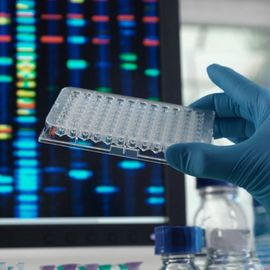 Microplate held by gloved hand in front of screen displaying sequencing data. 
