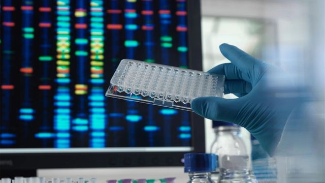 Microplate held by gloved hand in front of screen displaying sequencing data. 