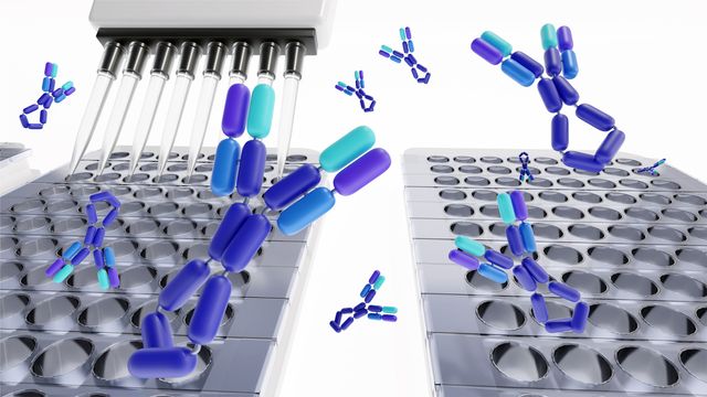 3D render of ELISA antibodies above microplate wells with multichannel pipette used for immunoassay testing. 