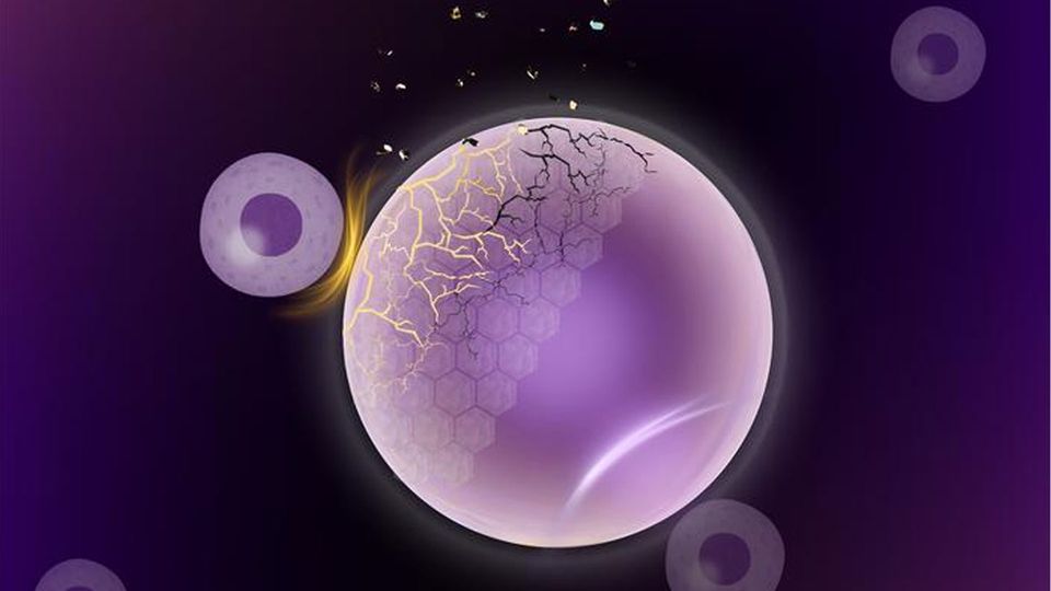 Illustration of a cancer cell being attacked by immune cells under two different conditions.