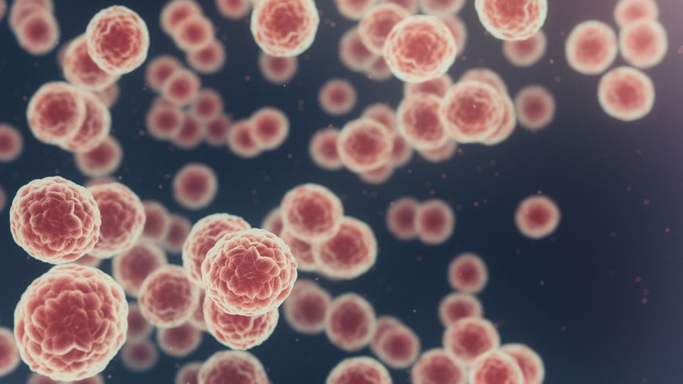 Illustration of pink cancer cells floating on a black background.