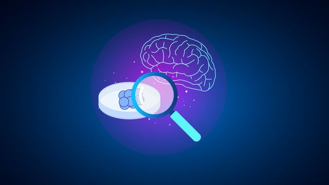 Illustration of a brain organoid in a petri dish viewed through a magnifying glass, with a brain graphic above. 