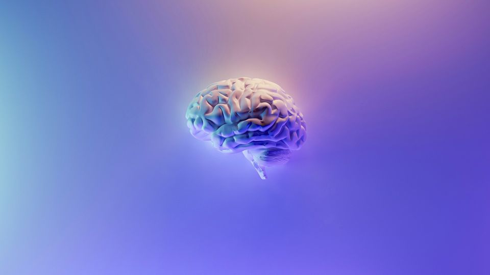 3D brain model on a blue and purple gradient background.