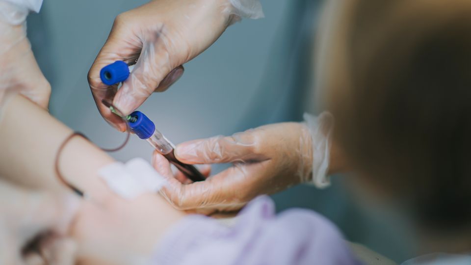 Gloved hands obtaining a sample of blood from a patient's arm.