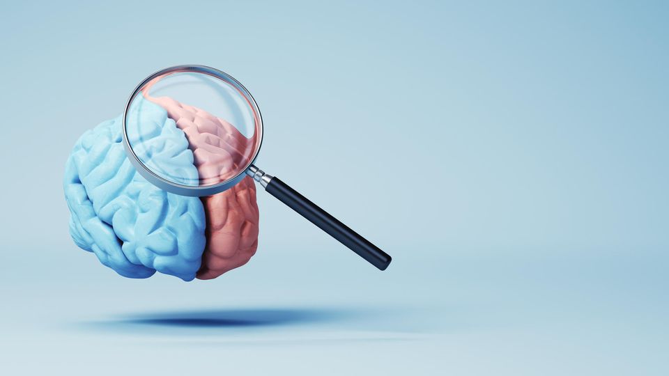 Visualization of a brain, half blue and half pink, with a magnifying glass hovering above it.