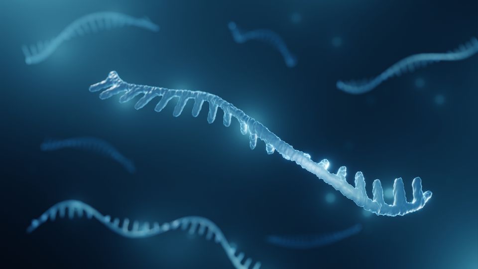 3D render of a single-stranded RNA molecule glowing blue against a dark background with blurred RNA strands.