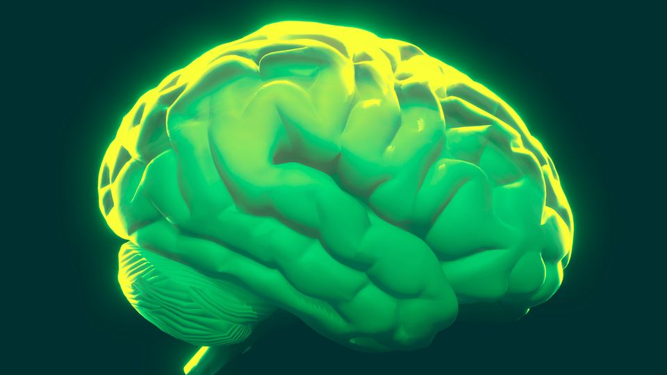 3D render of a glowing green brain with detailed folds, illuminated against a dark background.