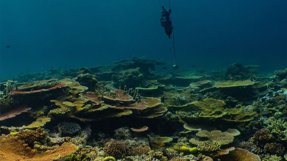 Seawater sampling of the Great Barrier Reef