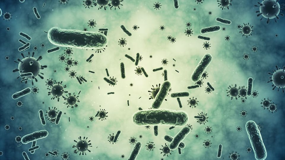 Render of different bacterial rods and circular viruses with spike proteins, against a hazy green background.