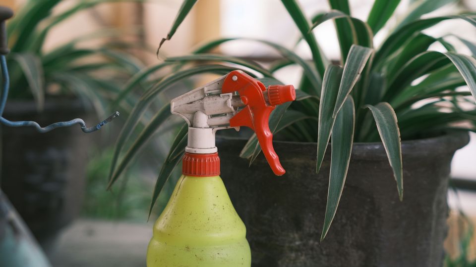 A yellow spray bottle of weed killer, sitting in front of several plant pots.