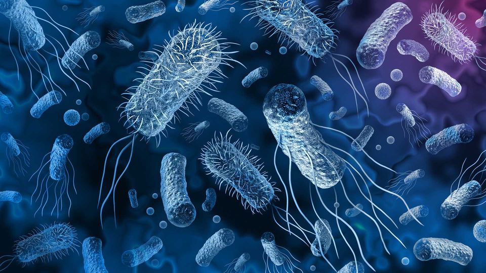 Render of different bacterial cells, including rods with flagellum and cocci-shaped microbes, against a navy background.