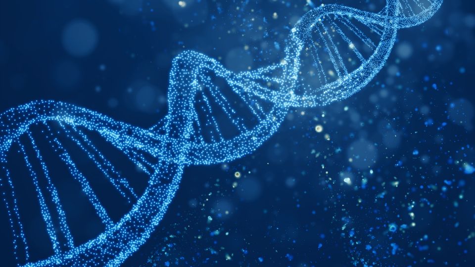 Illustration of a DNA double helix. The DNA is made up of several tiny light blue dots on a dark blue background.
