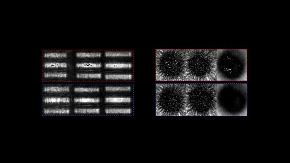 Images created using physics-based machine learning (bottom row) lack artifacts showing up in images from an existing technique for capturing details obscured by complex media (top row). 