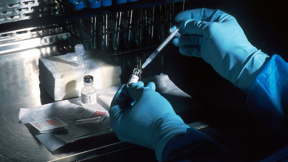 Gloved hands drawing a vaccine into a syringe from a vial in a laboratory setting.