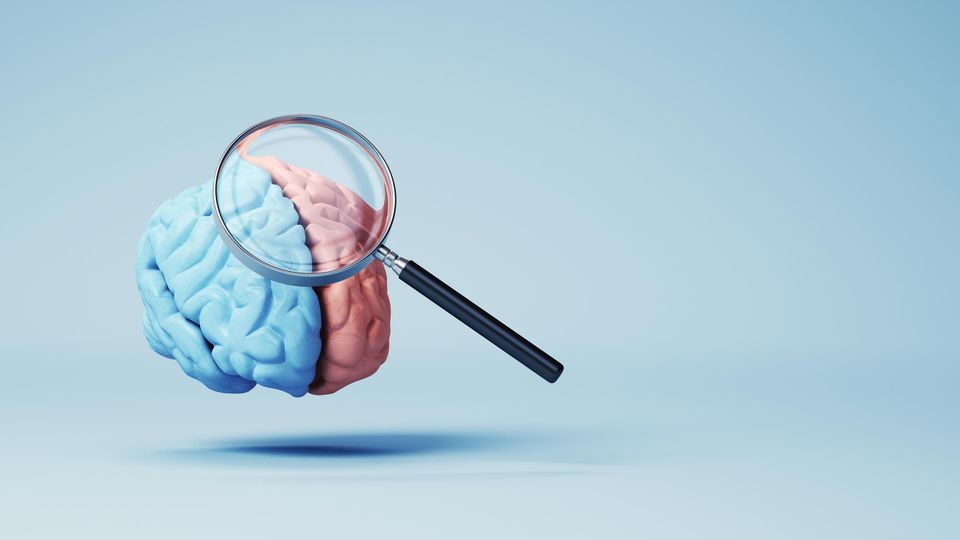 3D render of a brain examined through a magnifying glass against a light blue background.