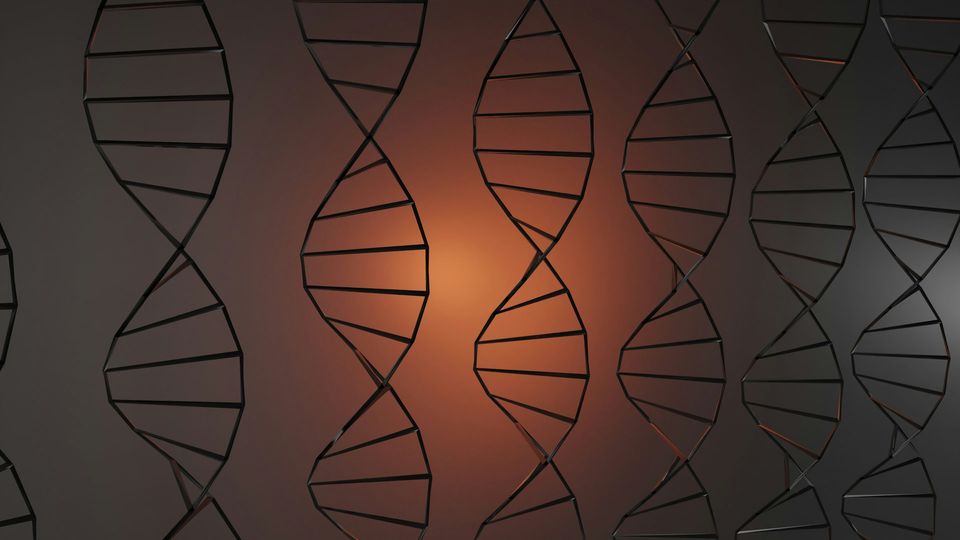 3D illustration of DNA double helix running in parallel against a dark orange background.