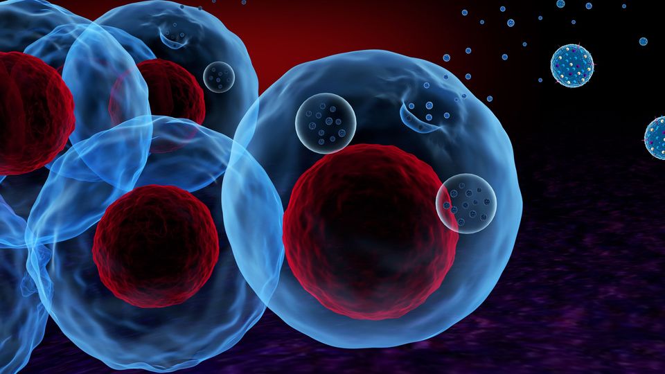 Illustration of cancer extracellular vesicles floating on a black background.