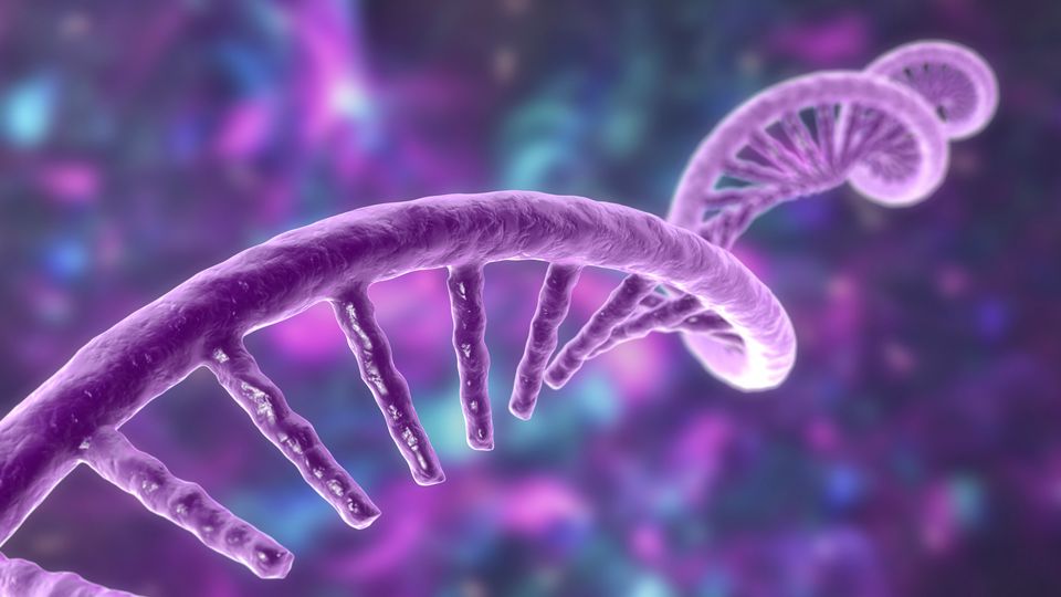 Render of helical mRNA strand in purple, stretching diagonally across a hazy blue and purple background.