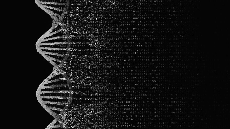 Illustration of a white DNA double helix on a black background. The helix fades away to binary code.
