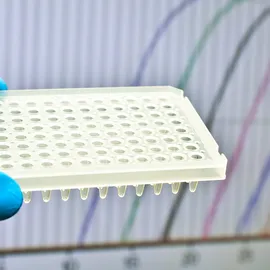 Gloved hand holding a 96-well qPCR plate for building reproducible qPCR workflows from experimental design to data analysis.
