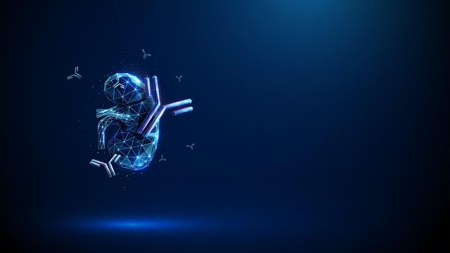 Illustration of a human kidney surrounded by Y-shaped antibodies. The kidney is made up of white geometric lines and is on a dark blue background. 